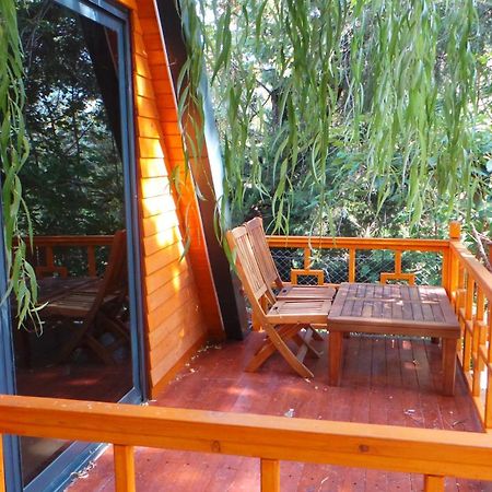 Trinitys Forest Bungalows 케메르 외부 사진