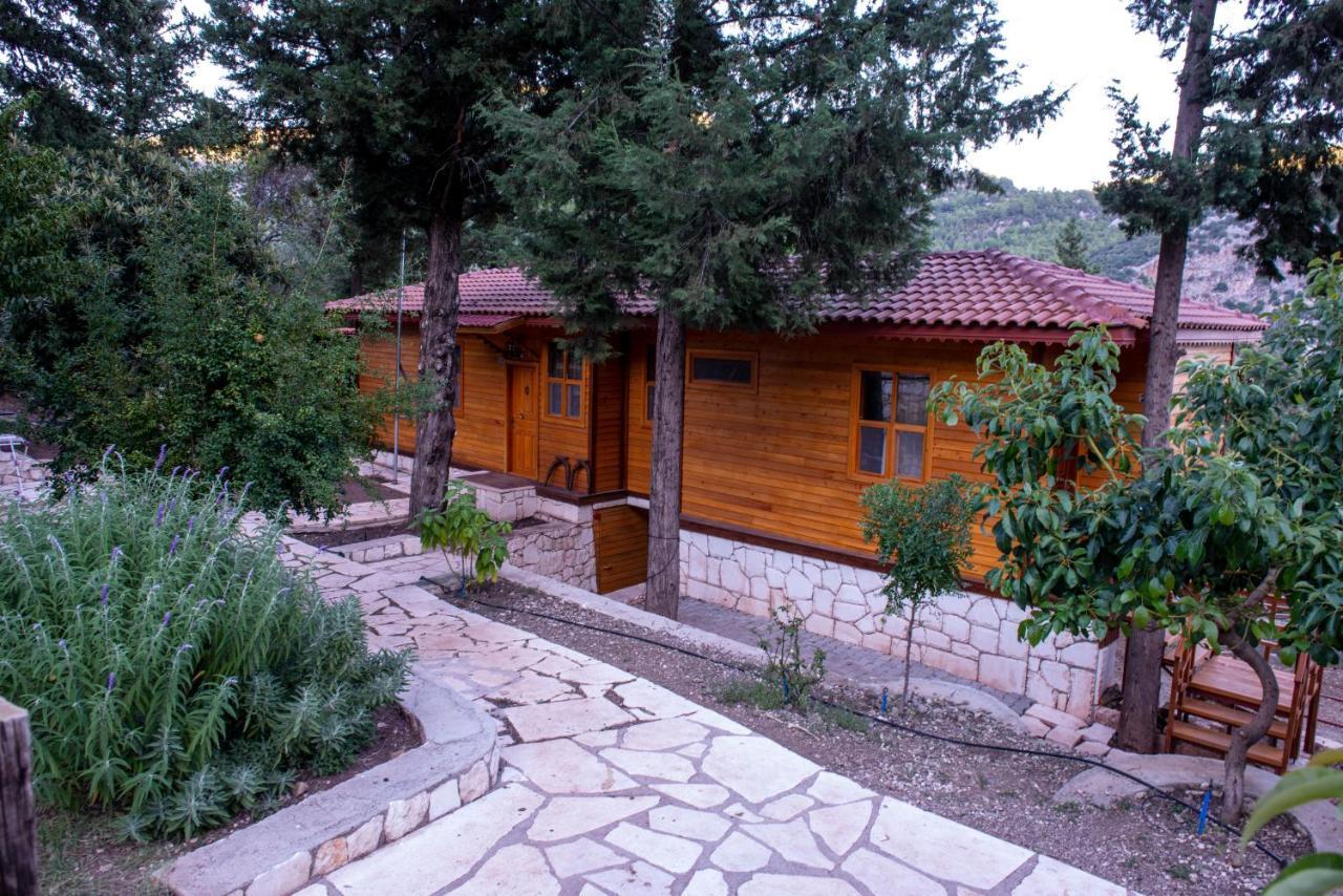 Trinitys Forest Bungalows 케메르 외부 사진