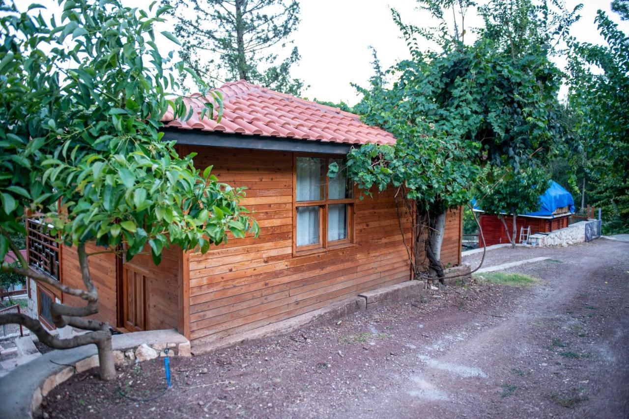 Trinitys Forest Bungalows 케메르 외부 사진