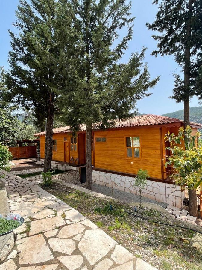 Trinitys Forest Bungalows 케메르 외부 사진
