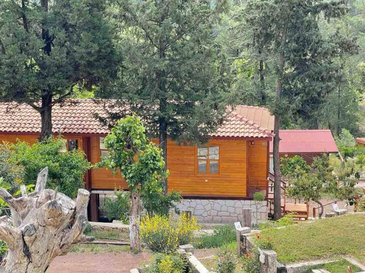 Trinitys Forest Bungalows 케메르 외부 사진