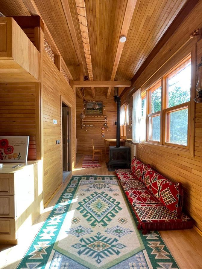 Trinitys Forest Bungalows 케메르 외부 사진