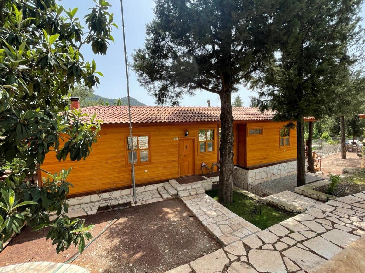 Trinitys Forest Bungalows 케메르 외부 사진