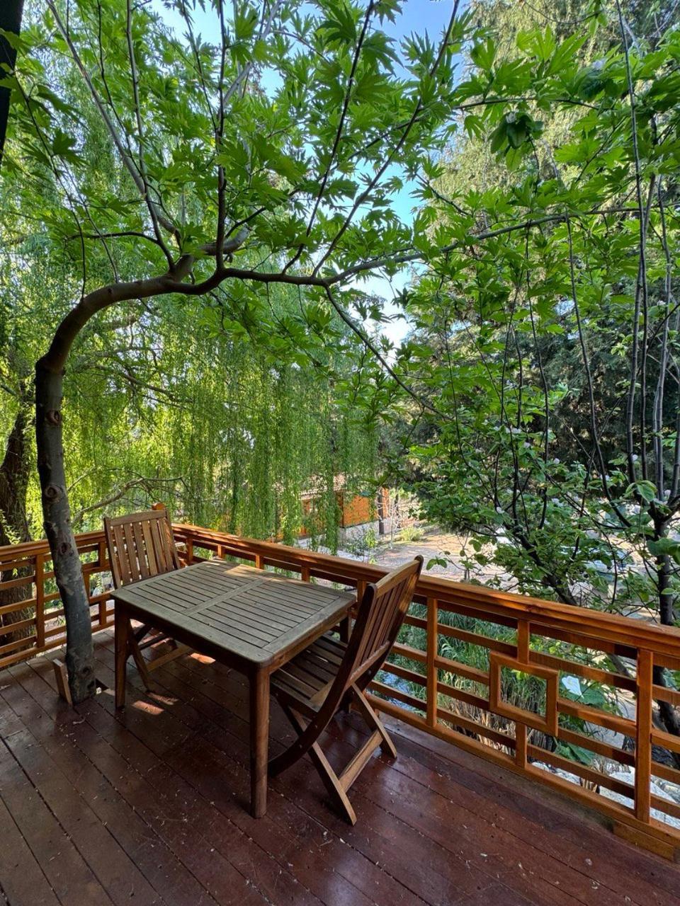 Trinitys Forest Bungalows 케메르 외부 사진